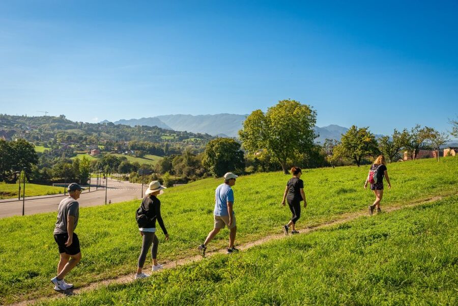 From Oviedo: Half-Day Camino de Santiago Hike - The real cost: $100 plus the ride back