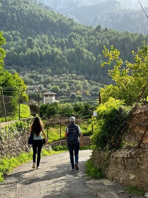 From Palma: Sierra de Tramuntana Hiking with small Picnic - Why the Sierra de Tramuntana is worth your morning