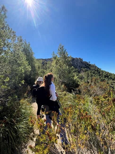 From Palma: Sierra de Tramuntana Hiking with small Picnic - The picnic stop after two hours