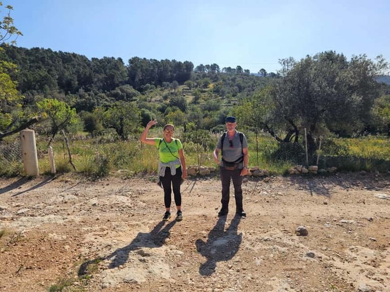 From Palma: Sierra de Tramuntana Hiking with small Picnic - Who should book this hike?