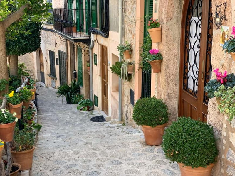From Palma: Valldemossa Tour and Mountain Viewpoint Hike - Should you book the Valldemossa hike?