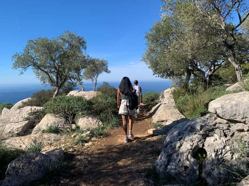 From Palma: Valldemossa Tour and Mountain Viewpoint Hike - Leaving Palma for Mallorca’s highest town