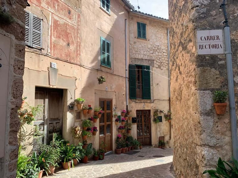 From Palma: Valldemossa Tour and Mountain Viewpoint Hike - Coca de Patata and the local taste