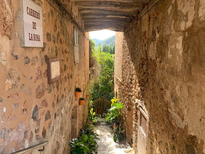 From Palma: Valldemossa Tour and Mountain Viewpoint Hike - What the $105 price really covers