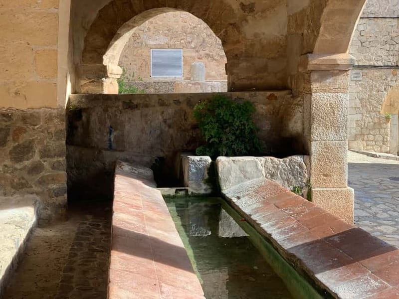 From Palma: Valldemossa Tour and Mountain Viewpoint Hike - Booking details worth knowing
