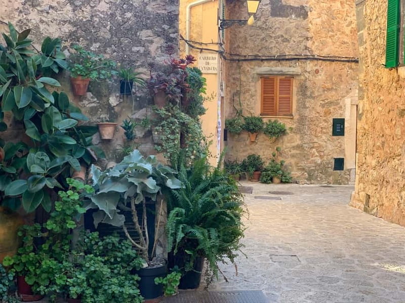 From Palma: Valldemossa Tour and Mountain Viewpoint Hike - Four viewpoints and an easy mountain trail