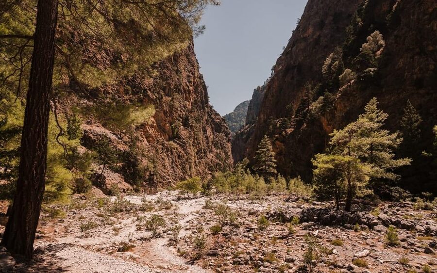 From Panormo or Lavris: Samaria Gorge Hike with Guide - Guide support and language options