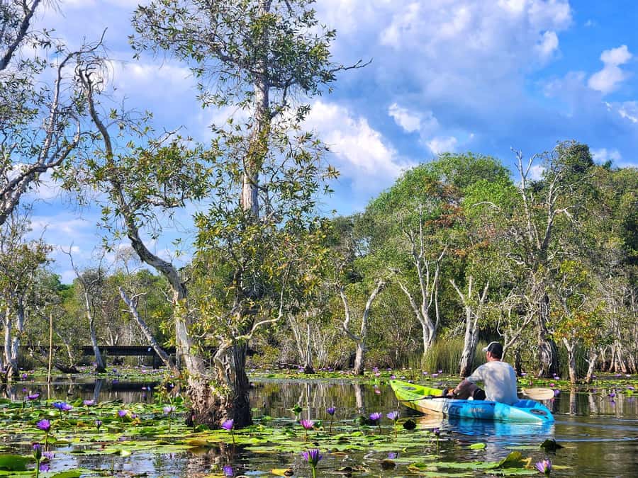 From Pattaya: Rayong Adventure Hike and Kayak Day Trip - Key points at a glance