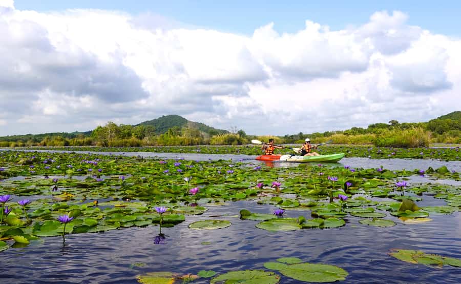 From Pattaya: Rayong Adventure Hike and Kayak Day Trip - What to pack for comfort
