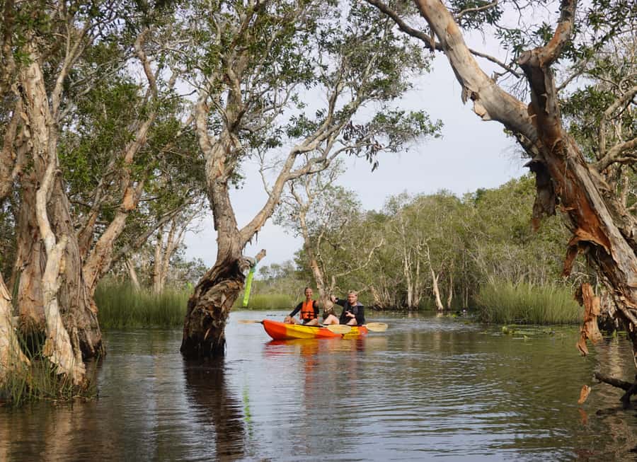 From Pattaya: Rayong Adventure Hike and Kayak Day Trip - Tung Prong Tong: sunlight through the mangroves