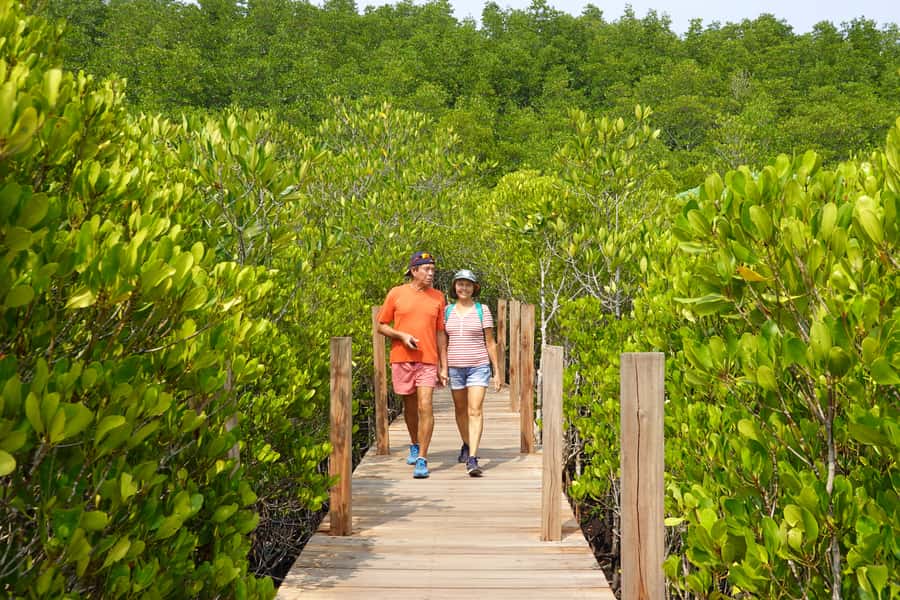From Pattaya: Rayong Adventure Hike and Kayak Day Trip - What the $353 price means