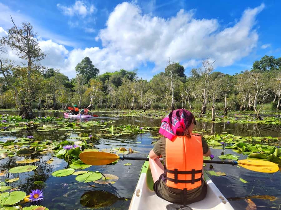 From Pattaya: Rayong Adventure Hike and Kayak Day Trip - Pickup, timing, and the long ride home