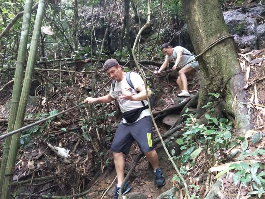 From Phuket: Guided Rainforest Hike with Lunch - Quick take: what makes this hike worth considering