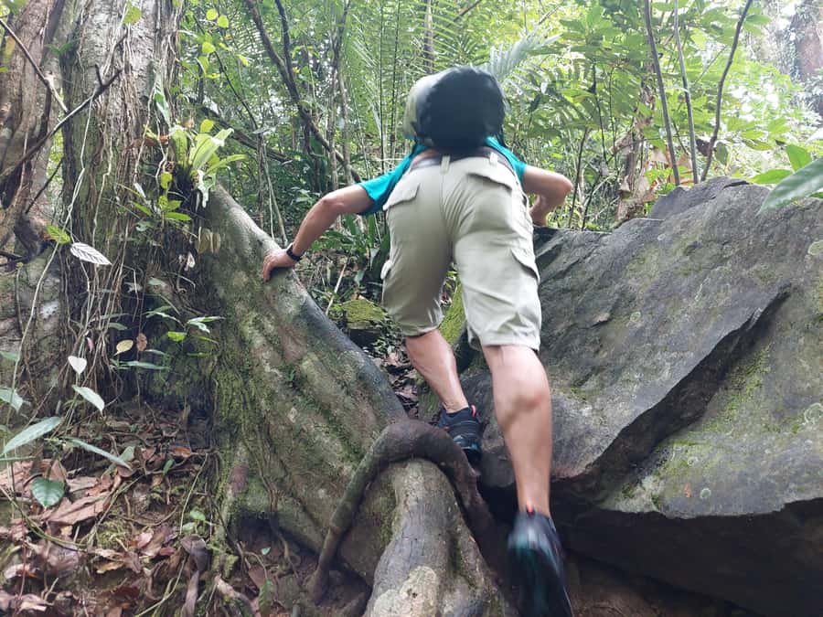 From Phuket: Guided Rainforest Hike with Lunch - Leaving Phuket’s beaches for the forest