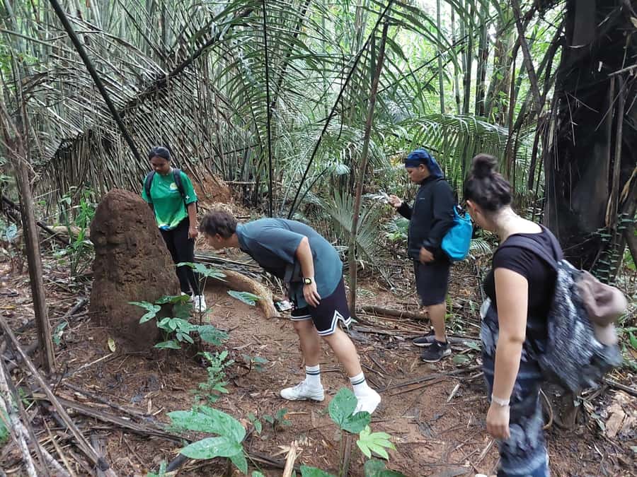 From Phuket: Guided Rainforest Hike with Lunch - Showering under the waterfall