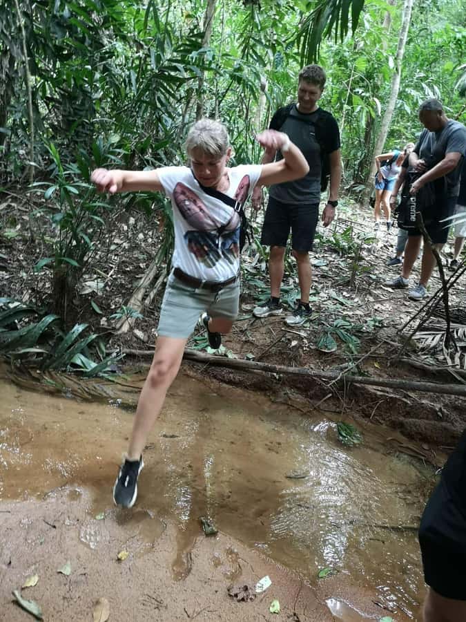 From Phuket: Guided Rainforest Hike with Lunch - Bang Pae Waterfall and the forest pool