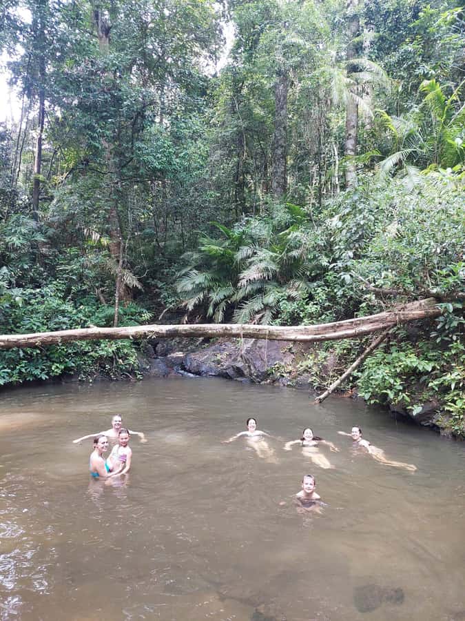 From Phuket: Guided Rainforest Hike with Lunch - Transport, timing, and what to pack