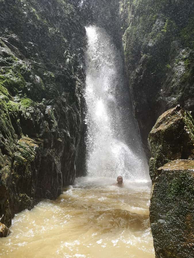 From Phuket: Guided Rainforest Hike with Lunch - Tonsai Waterfall and the first three hours