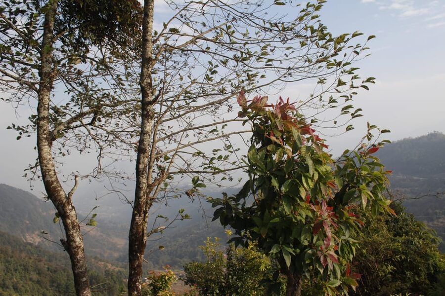 From Pokhara: Day Hiking Australian Camp & Dhampus - Australian Camp to Dhampus on a rural trail