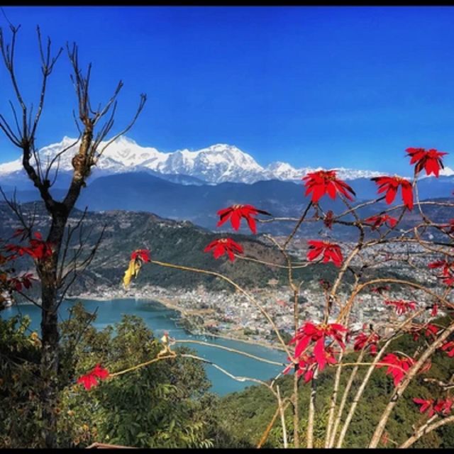 From Pokhara: Guided Day Jungle Hiking Tour with Boat Ride - Pumdikot and the large Shiva statue