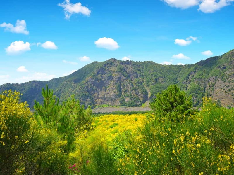 From Pompeii: Mount Vesuvius Hike & Tour by Bus - Key points to know before you go