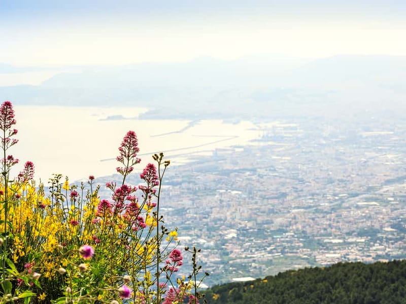 From Pompeii: Mount Vesuvius Hike & Tour by Bus - Starting the hike at 1,000 meters