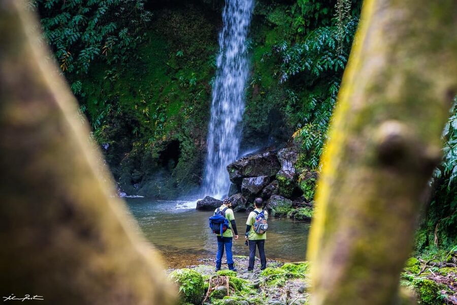 From Ponta Delgada: Hiking Moinho do Félix - The guide makes the difference