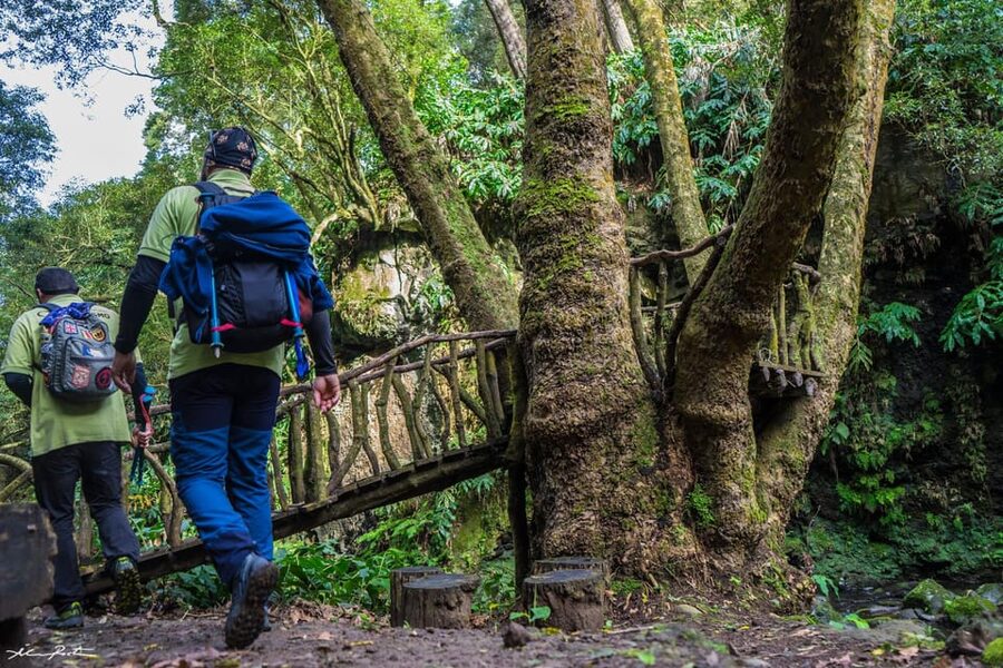 From Ponta Delgada: Hiking Moinho do Félix - Should you book the Moinho do Félix hike?