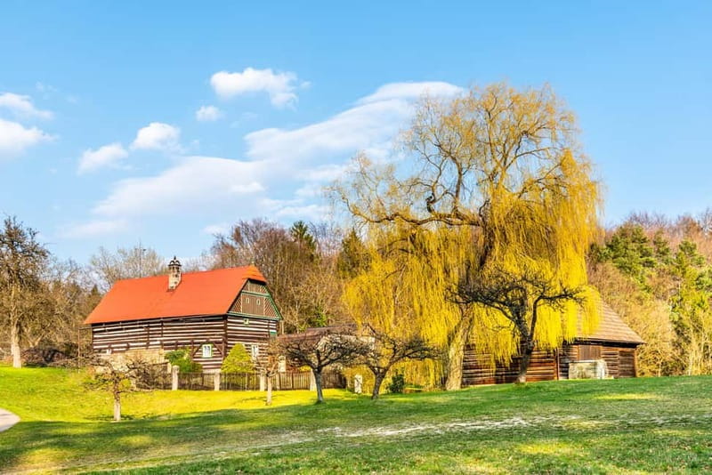 From Prague: Hike the Hidden Valleys of Bohemian Paradise - What the pace feels like on the trail