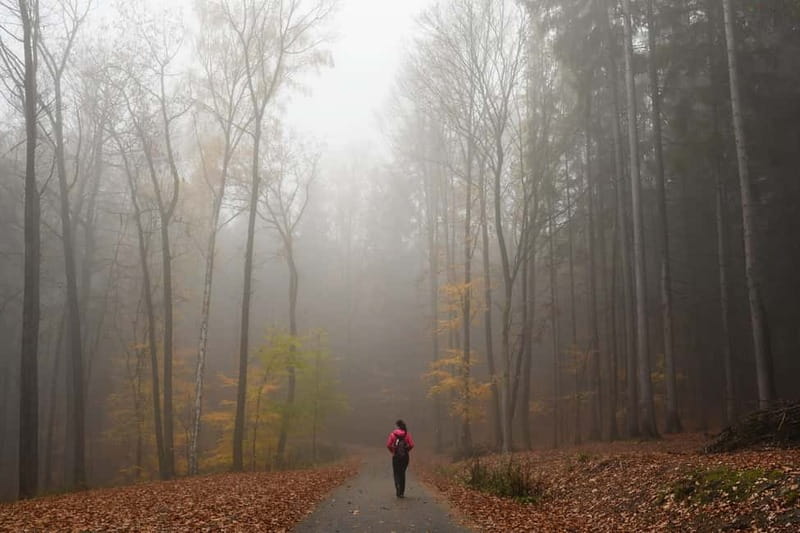From Prague: Hike the Hidden Valleys of Bohemian Paradise - What to wear and carry