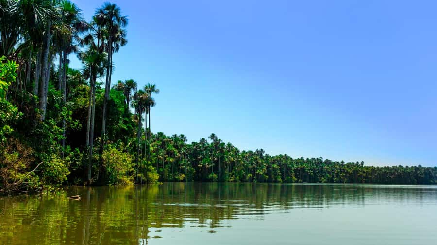 From Puerto Maldonado | Jungle hike + Sandoval Lake | - Leaving Puerto Maldonado at 9:00 a.m.