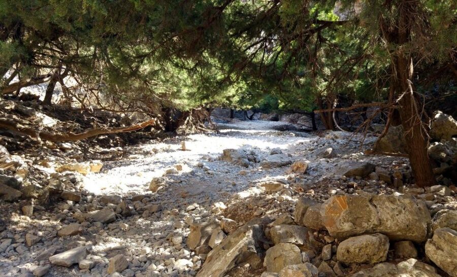 From Rethymno/Chania: Imbros Gorge Hike - Walking the 8 to 9 km trail