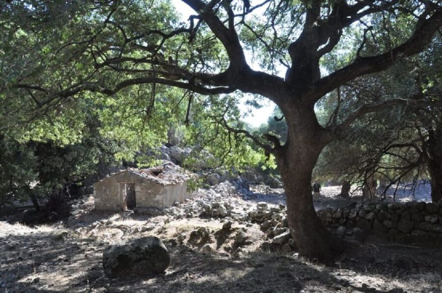 From Rethymno/Chania: Imbros Gorge Hike - Reaching Komitades and waiting for the coach
