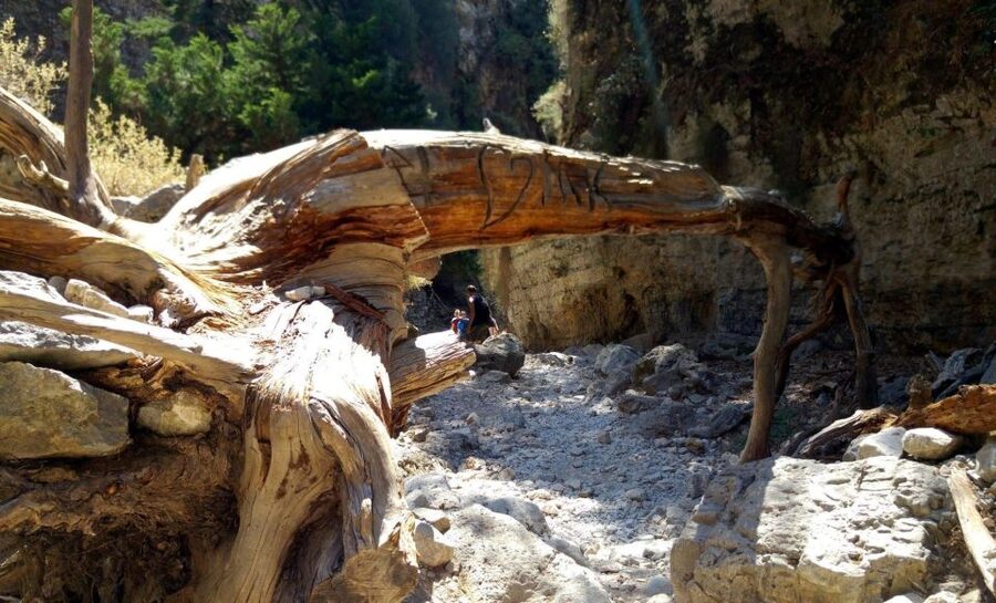 From Rethymno/Chania: Imbros Gorge Hike - What to pack for Imbros Gorge