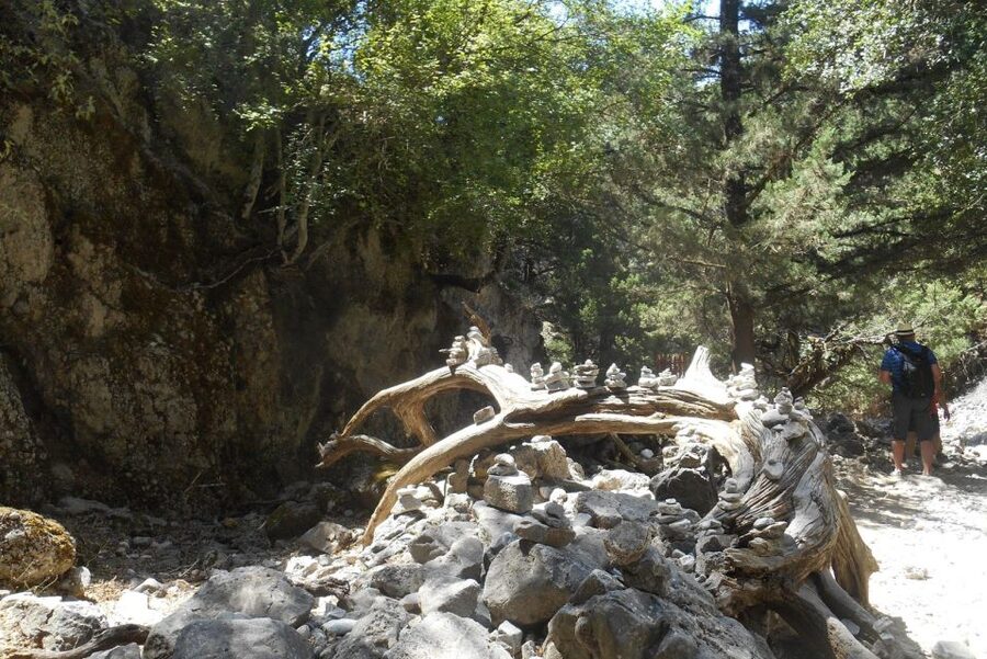 From Rethymno/Chania: Imbros Gorge Hike - The morning drive through Crete’s White Mountains