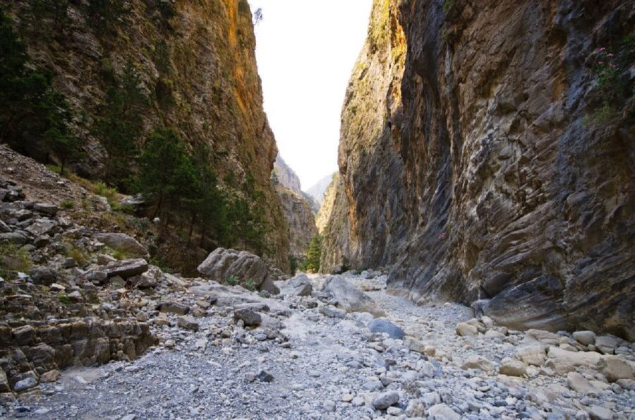 From Rethymno: Samariá Gorge Full-Day Hike - The ferry to Sougia and the ride back to Rethymno