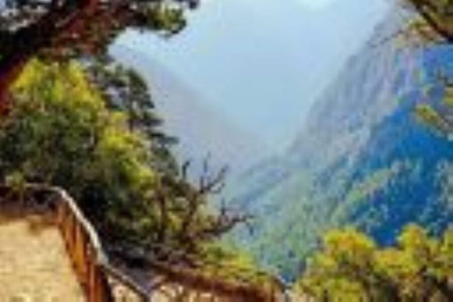 From Rethymno: Samaria gorge with Professional Hiking Guide - Forest, cliffs, and the Iron Gates
