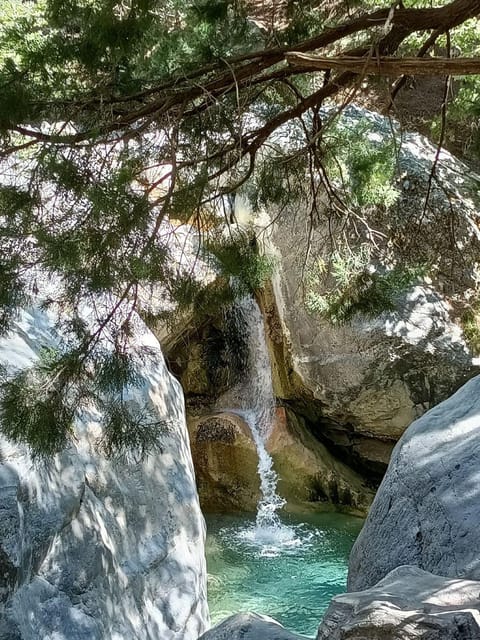 From Rethymno: Samaria gorge with Professional Hiking Guide - Should you book it?
