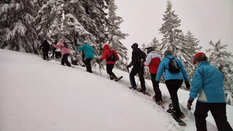 From Rovaniemi: Korouoma Frozen Waterfalls Small-Group Hike - The 150 km road to Korouoma