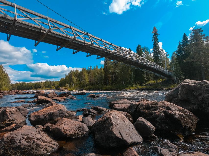 From Rovaniemi: Vikaköngäs Forest Hiking Tour - A quick trip from Rovaniemi into the forest