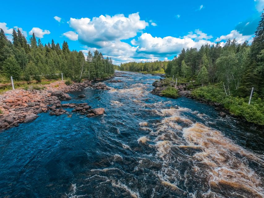 From Rovaniemi: Vikaköngäs Forest Hiking Tour - The hanging bridge and the sound of water