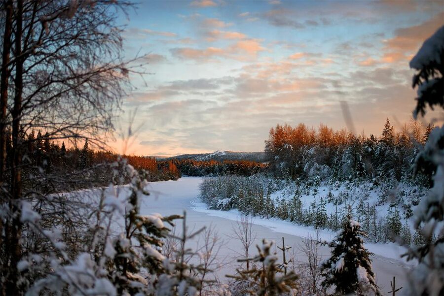 From Rovaniemi: Vikaköngäs Forest Hiking Tour - What the guide adds to the walk
