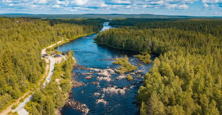 From Rovaniemi: Vikaköngäs Forest Hiking Tour - Walking through forests, lakes, and rocky gorges