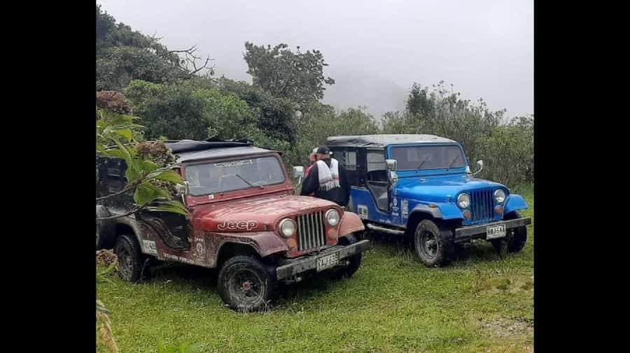 From Salento: Cocora Valley Hiking Tour with Lunch - Why the wax palms make this hike special