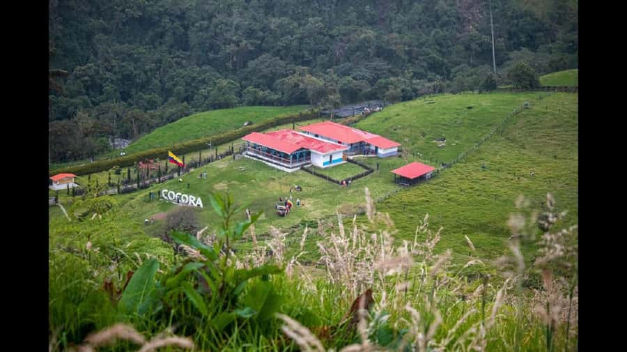 From Salento: Cocora Valley Hiking Tour with Lunch - Meeting in Salento and riding a Willys Jeep