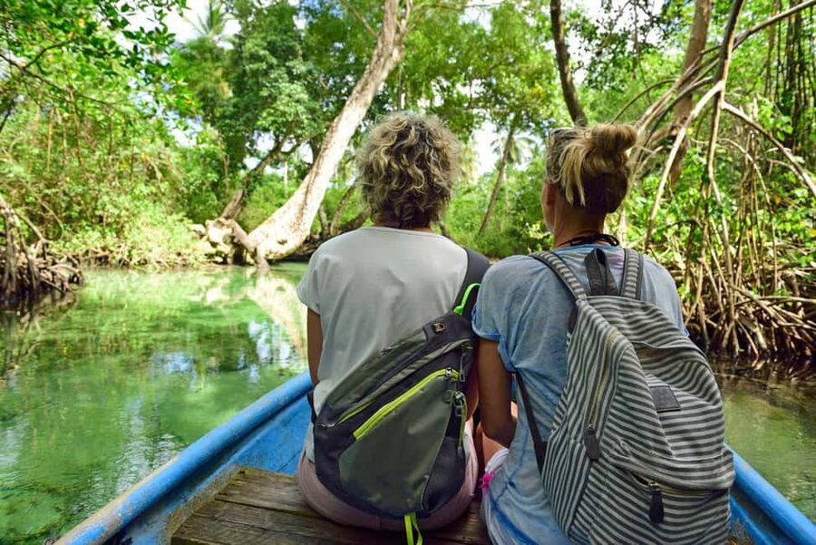 From Samana: Los Haitises Hike, Boat Trip, and Kayaking - Why Los Haitises Makes a Strong Day Trip