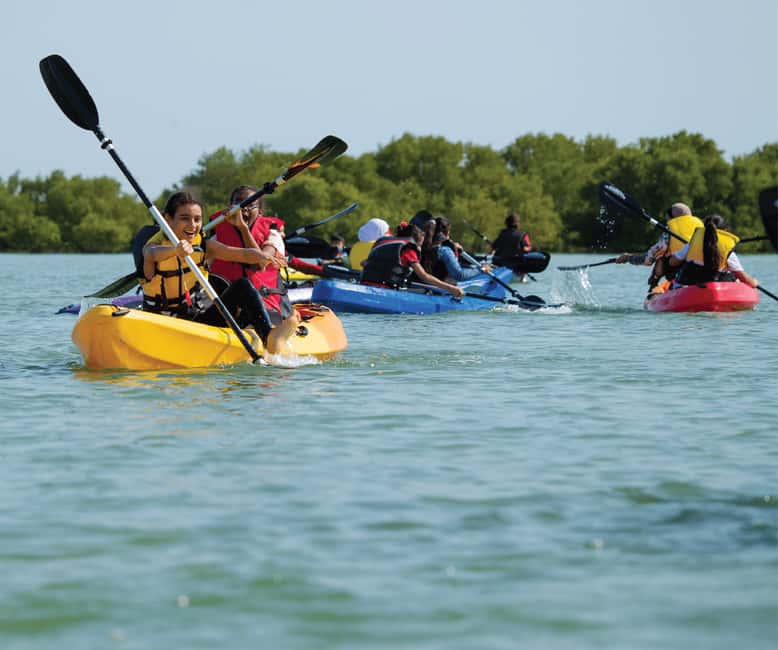 From Samana: Los Haitises Hike, Boat Trip, and Kayaking - Caves, Petroglyphs, and Taíno Stories