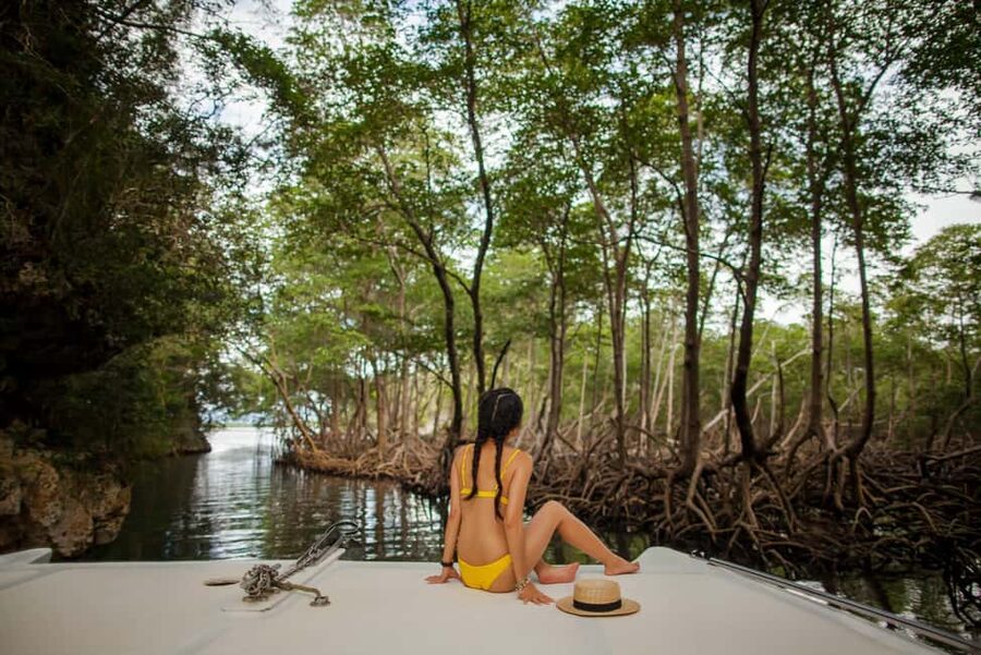 From Samana: Los Haitises Hike, Boat Trip, and Kayaking - Walking Through the Rainforest