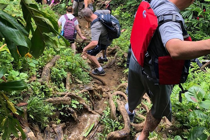 From San Juan: El Yunque Rainforest Hiking Adventure - Transport from San Juan and the long day