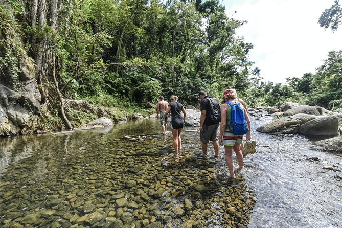 From San Juan: El Yunque Rainforest Hiking Adventure - The harder route to the second pool